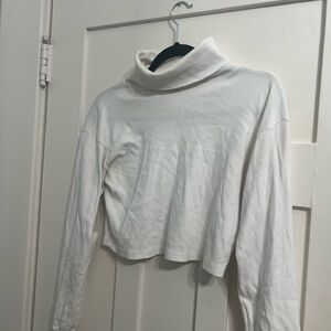 brandy melville turtle neck long sleeve cropped